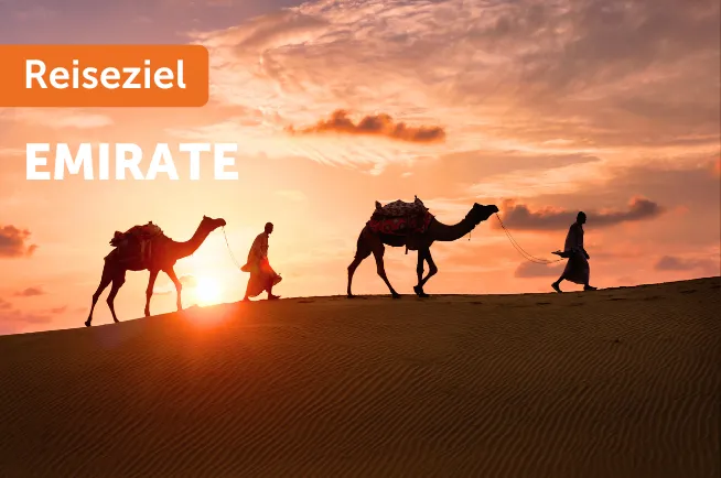 Sonnenuntergang in der Wüste mit Kamelen